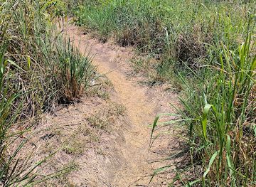 saint-kitts-and-nevis/saddle-hill/attraction/glass-beach-trail-head