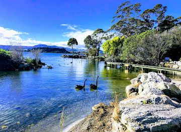new-zealand/rotorua/attraction/hatupatu-dr-car-park-and-scenic-point