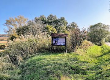 hungary/vertes-mountains/attraction/vajal-forras