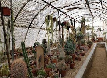 california/joshua-tree/attraction/moorten-botanical-garden