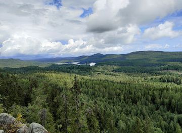 finland/koli-national-park/attraction/rylays