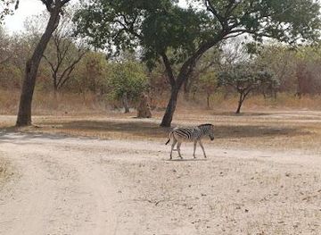 the-gambia/banjul/attraction/black-and-white-safari