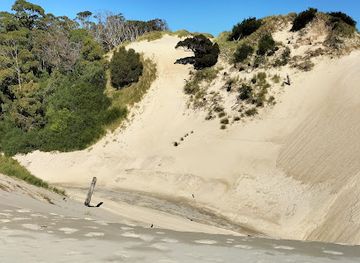 australia/tasmania/attraction/henty-dunes