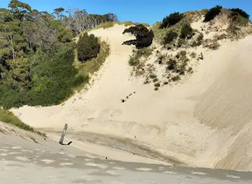 Henty Dunes