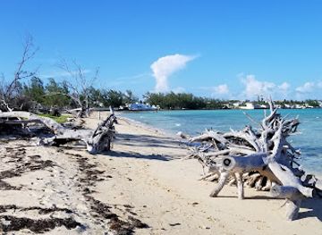 the-bahamas/andros-island/attraction/yamacraw-beach