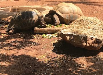 cyprus/paphos/coral-bay/attraction/pafos-zoo-free-bus-stop