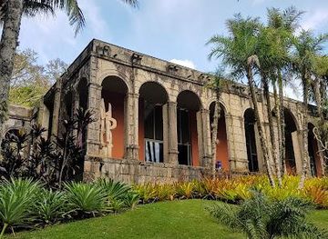 brazil/rio-de-janeiro/attraction/sitio-roberto-burle-marx-iphan