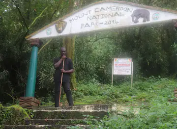 Mount Cameroon National Park