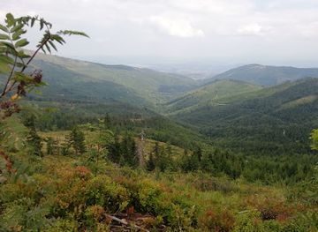poland/silesian-beskids/attraction/w-niedzwiedziu