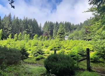 isle-of-man/castletown/attraction/ape-mann-adventure-park