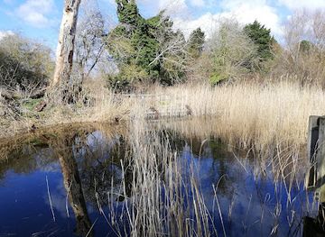 united-kingdom/huntingdonshire/attraction/great-fen