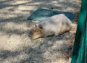 Veszprémi Állatkert másik kapu