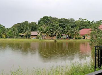 singapore/pulau-ubin/attraction/ubin-water-pond