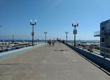 california/anaheim/attraction/seal-beach