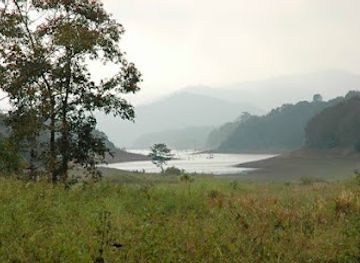 india/kerala/attraction/periyar-national-park