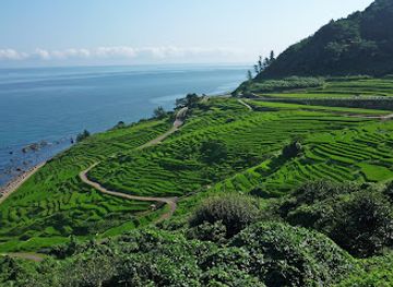 japan/tajima/attraction/shiroyone-senmaida-rice-terraces