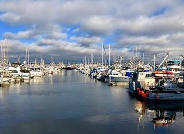 washington/bremerton/attraction/fishermen-s-terminal