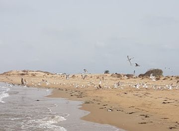 morocco/moulouya/attraction/le-village-du-lagon