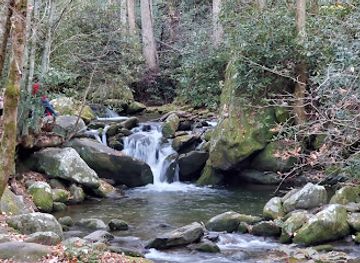 tennessee/great-smoky-mountains-national-park/attraction/alex-cole-cabin