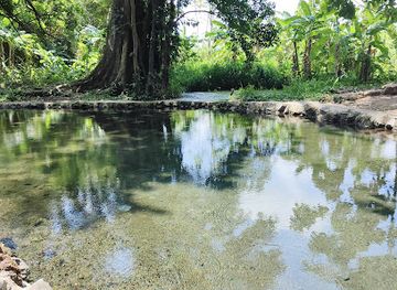 nicaragua/mombacho-volcano/attraction/ojo-de-agua-agria