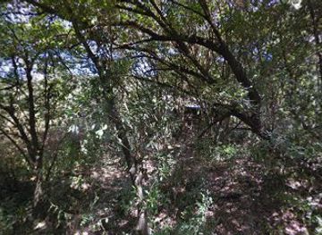 kenya/maasai-mara-national-reserve/attraction/elephants-trek