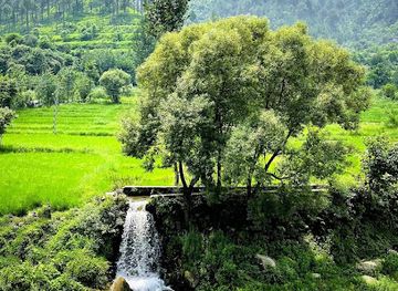 pakistan/malakand-division/attraction/chakdara-picnic-spots