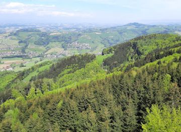 austria/kalkalpen-national-park/attraction/dambergwarte