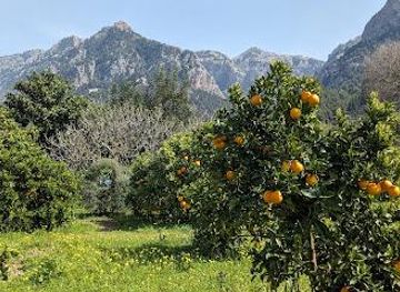 spain/mallorca/attraction/ecovinyassa