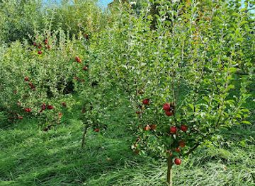 romania/bran-moieciu/attraction/casa-danila