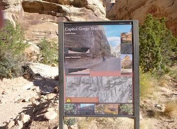utah/torrey/attraction/capitol-gorge-trailhead
