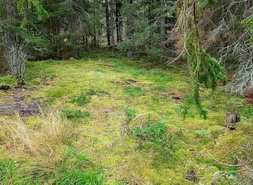 sweden/ostergotland/attraction/stora-haddebo