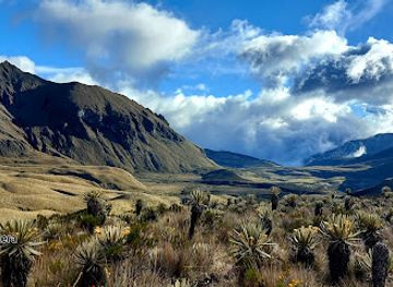 colombia/los-nevados-national-natural-park/attraction/nevado-del-quindio
