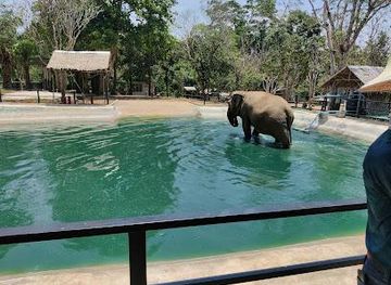 thailand/phuket/attraction/phuket-elephant-nature-reserve