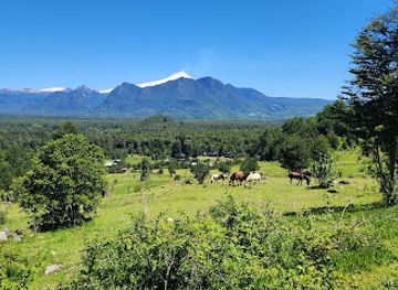 chile/araucania-region/attraction/antilco-horsetrekking