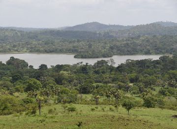 cote-d-ivoire/comoe-river/attraction/gabi