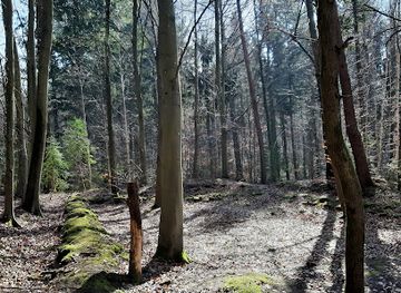 germany/baden/attraction/klosterle