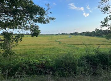 sri-lanka/bundala-national-park/attraction/wilmanna-hena