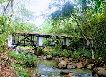 colombia/serrania-del-perija/attraction/el-gallineral-natural-park