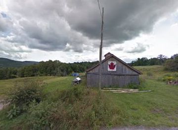 vermont/molly-falls-state-park/attraction/talbert-trails