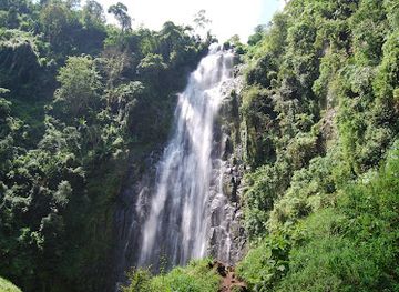 tanzania/dar-es-salaam/attraction/african-leopard-safaris