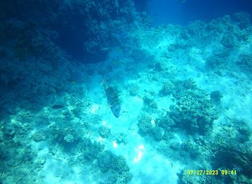 egypt/ras-muhammad-national-park/attraction/barriera-corallina