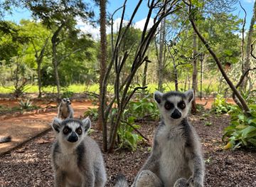 madagascar/anosy/attraction/debut-transect-malaza