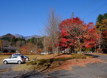 japan/nikko/attraction/nikko-woodcarving-center