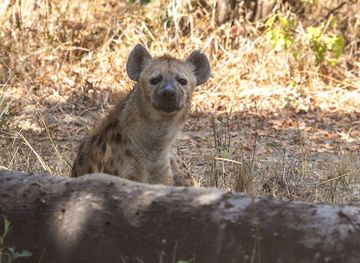zambia/chipata/attraction/norman-carr-monument