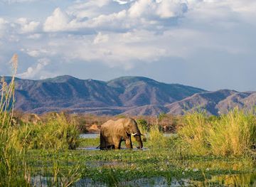 zambia/kasanka-national-park/attraction/lower-zambezi-national-park