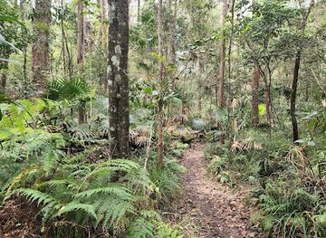 australia/sunshine-coast/attraction/parklands-conservation-park