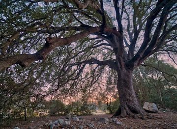 italy/salento/attraction/la-lizza-dei-briganti