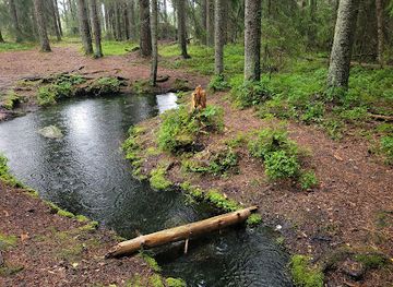 finland/varsinais-suomi-southwest-finland/attraction/someroja-sacrifice-spring