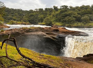 uganda/northern-region/attraction/murchison-falls-national-park-safari