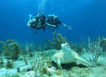 mexico/cancun/attraction/blue-dive-cancun